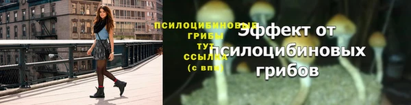 мдпв Магас
