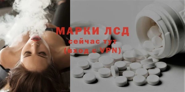 PSILOCYBIN Вязники