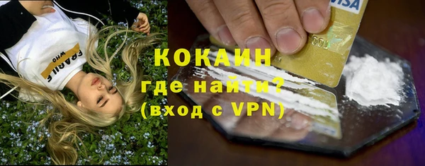 мдпв Магас