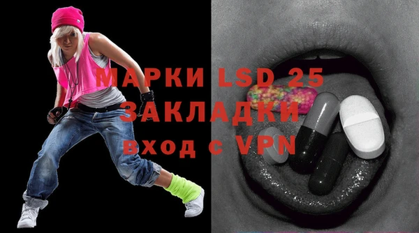 мдпв Магас