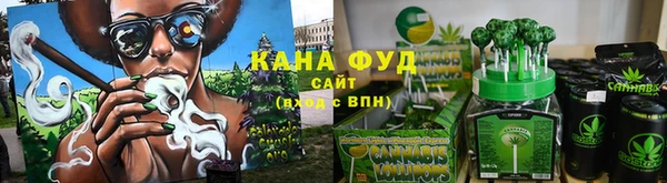 мдпв Магас