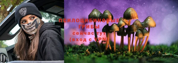 сатива Майский