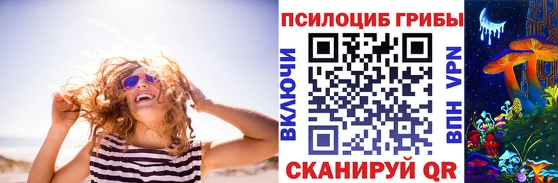 Псилоцибиновые грибы Psilocybe  blacksprut как войти  Пошехонье  продажа наркотиков 